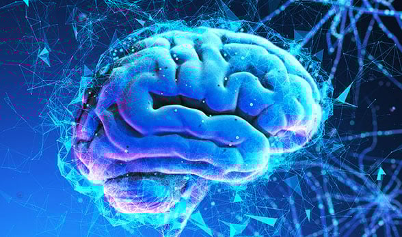 PsychBrain588