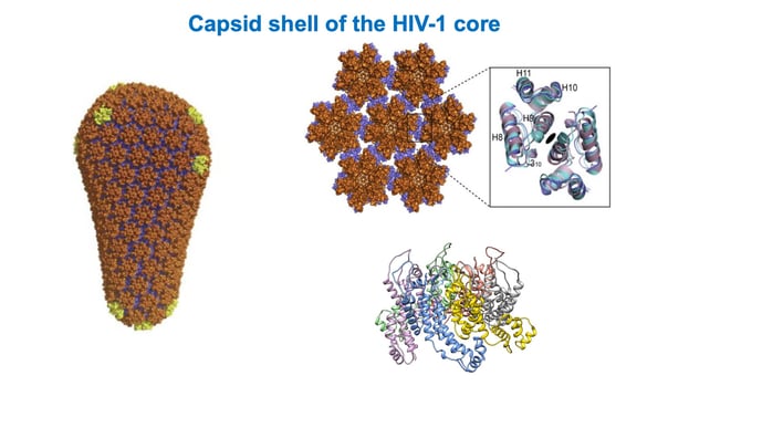 hiv1