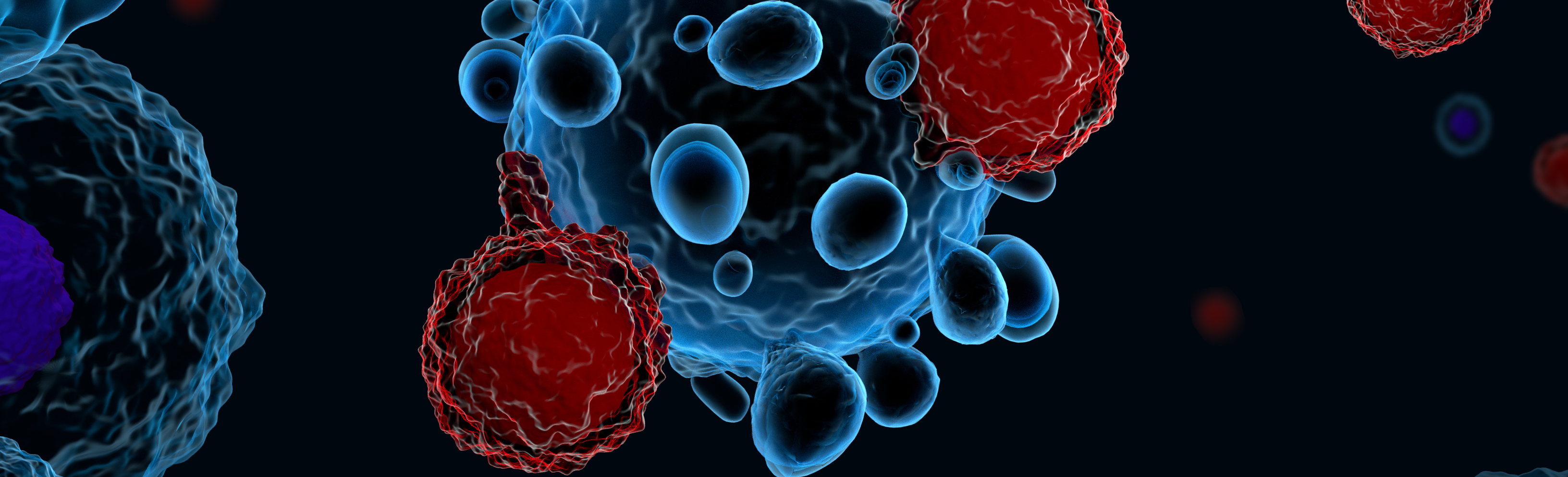 CAR-T cell graphic