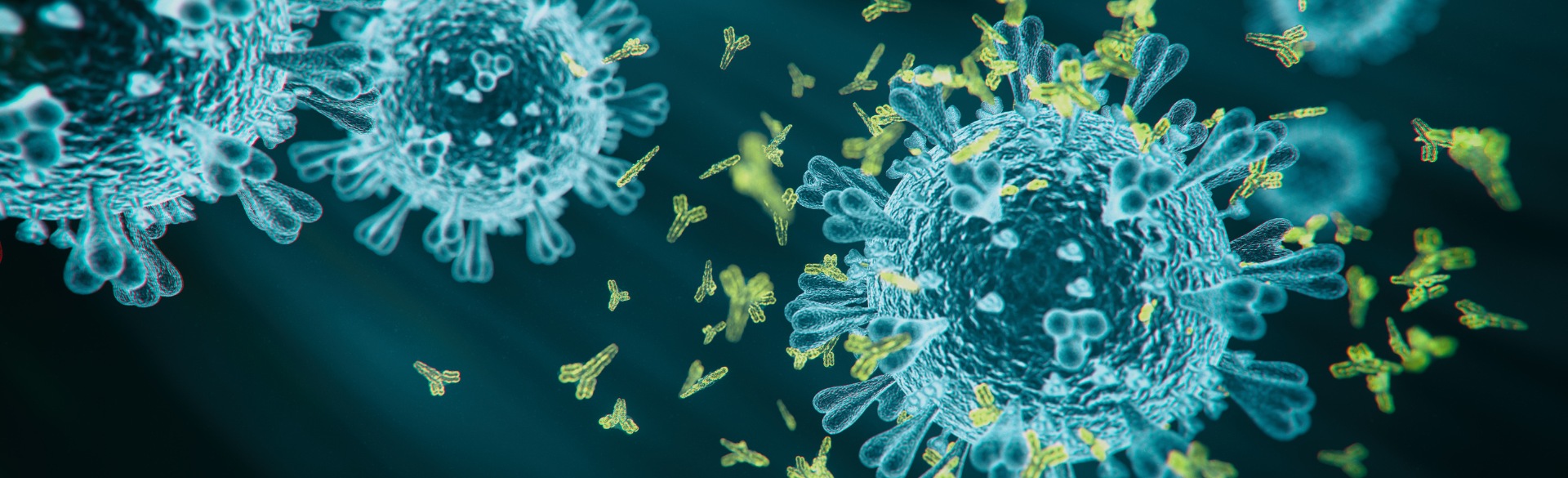 COVID-19 cells