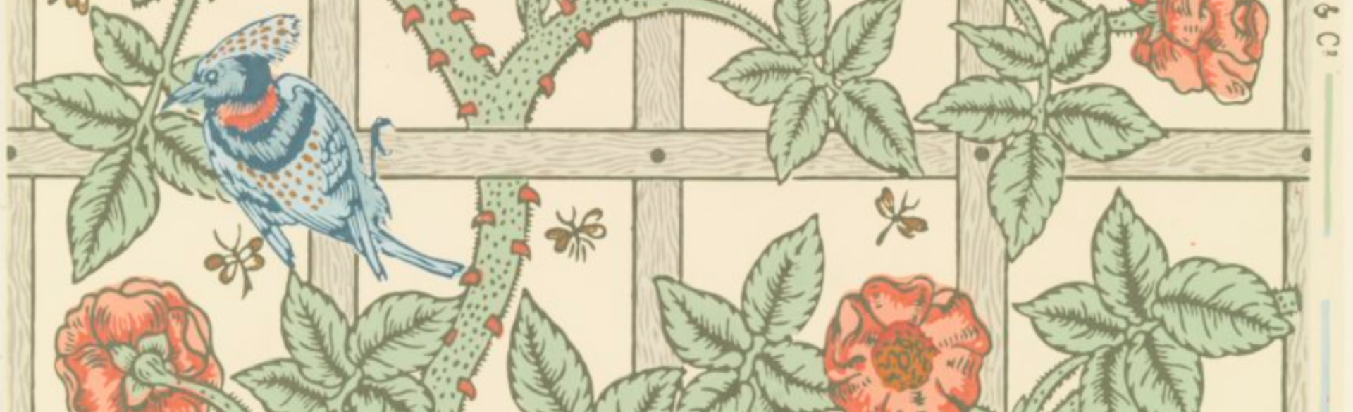 How Software Gardening Can Benefit Researchers