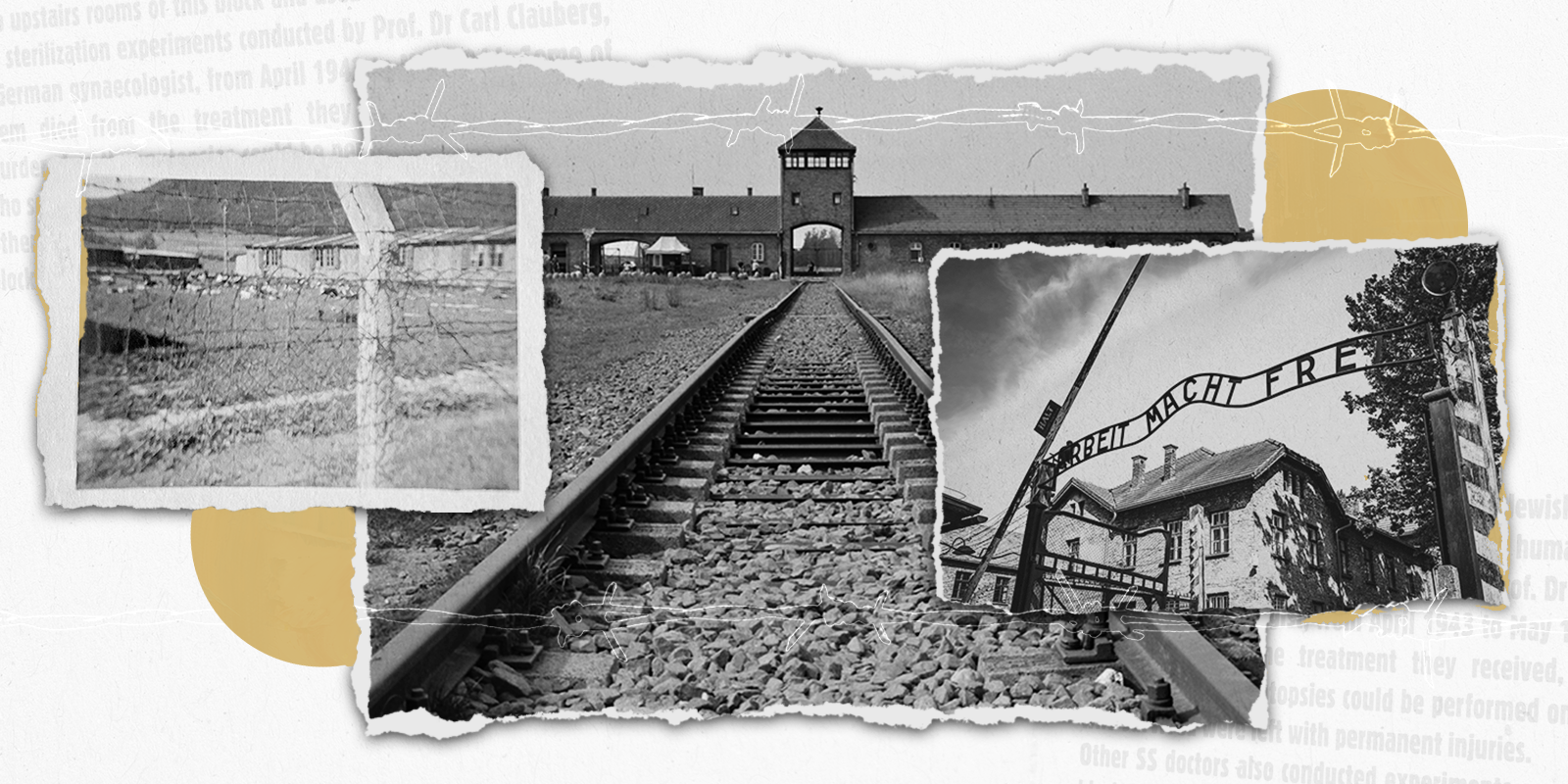 A three-photo collage showing a concentration camp surrounded by barbed wire and two entrances to Auschwitz