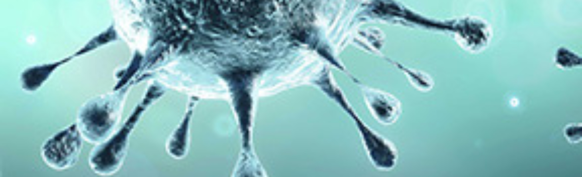 COVID-19 cells