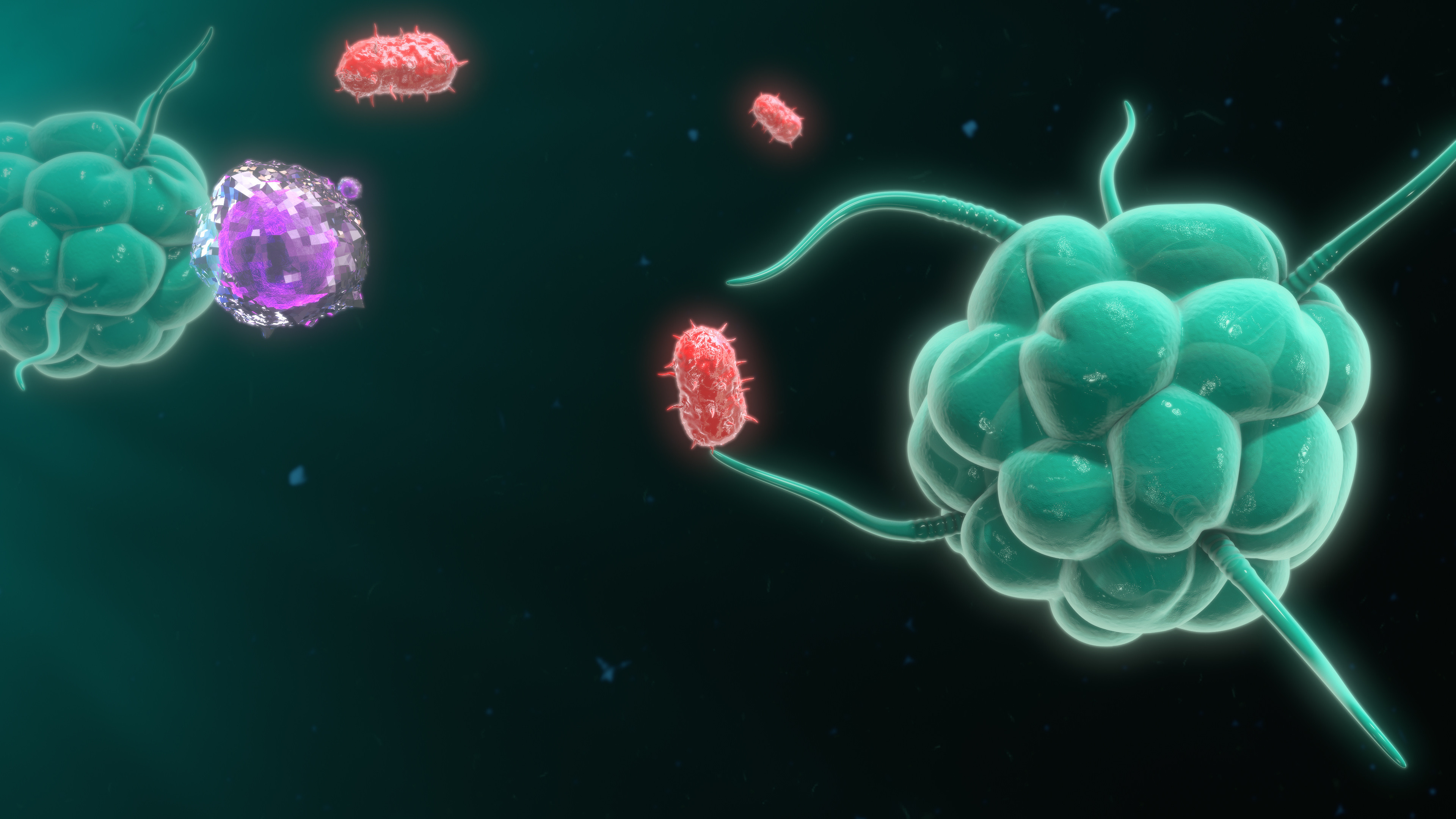 Graphic image of large, green macrophage eating small pink and purple bacteria