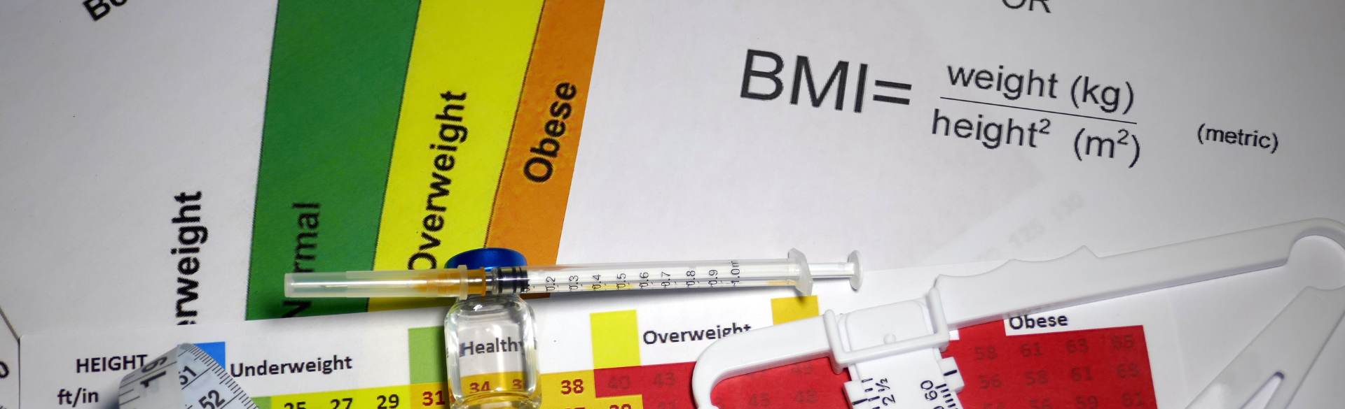 Gene Expression Study Reveals New Molecular Associations with Obesity