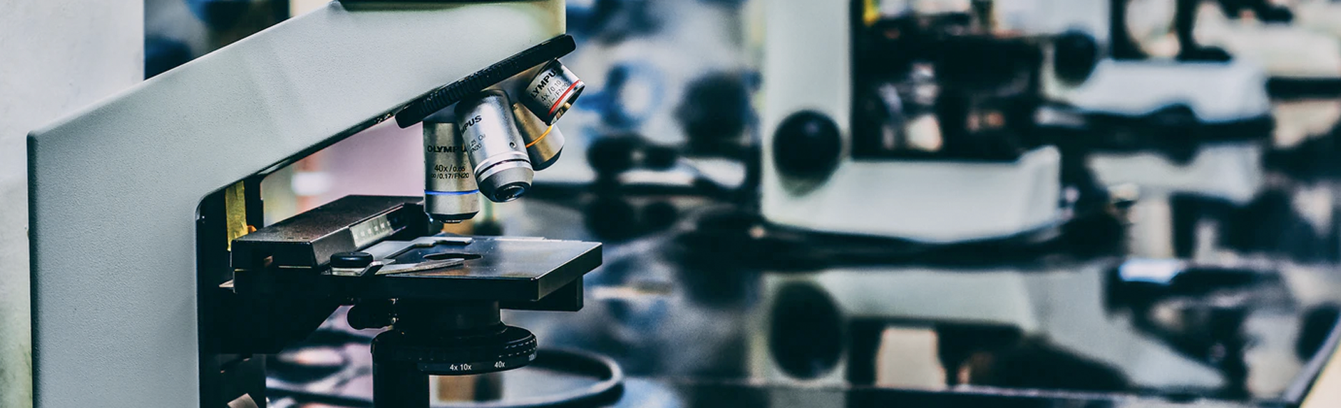 CU Researchers Publish Study on Nerve Cell Repair in Nature Neuroscience
